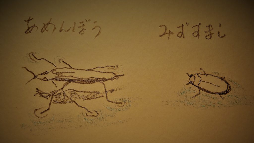 みずすまし あめんぼう アメンボウ いのち はるかに